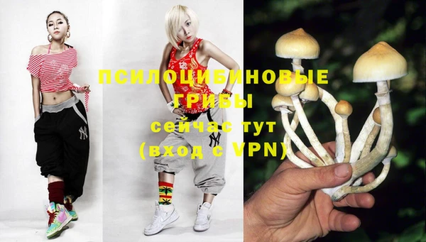 ПСИЛОЦИБИНОВЫЕ ГРИБЫ Баксан
